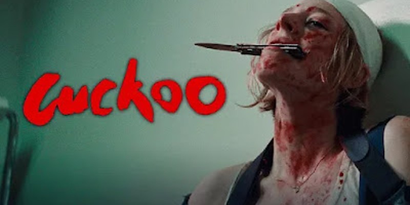 cuckoo